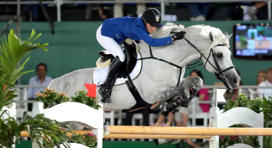 Une cavalière en tenue bleue et blanche saute un obstacle avec son cheval gris. Le cheval, nommé Levisto Z, montre une puissance impressionnante.