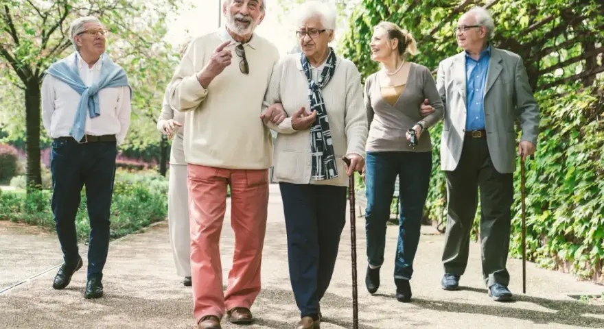 Grupa seniorów spaceruje po parku, ciesząc się świeżym powietrzem. Może rozmawiają o tym, jak przyjemnie jest płacić opłatę klimatyczną za takie widoki.