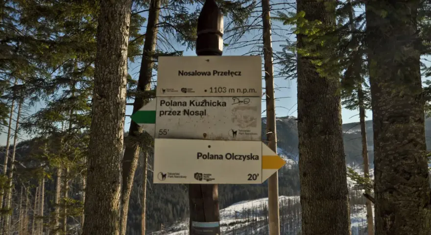 Droga przez Nosal na Nosalową Przełęcz (1103 m n.p.m.) prowadzi do Polany Kuźnickiej. Dalej do Polany Olczyskiej.