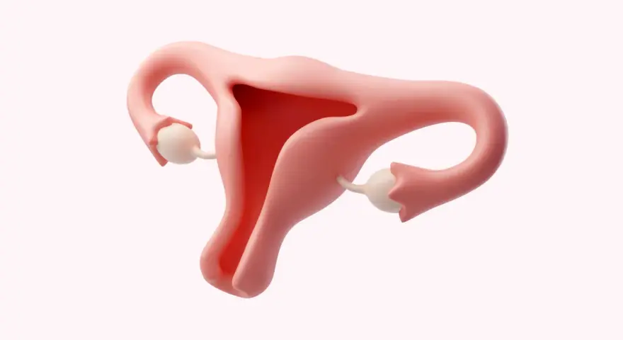 Anatomia kobieca: macica, jajowody i jajniki. Ilustracja może być użyta do omówienia o26 kod choroby.