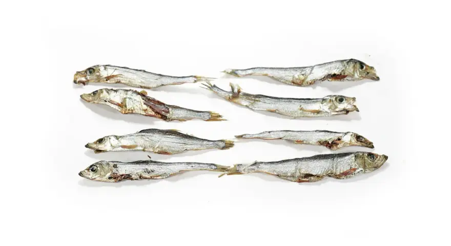 Suszone szprotki ułożone w rzędach. Czy szprotki są zdrowe? Tak, to bogactwo kwasów omega-3 i białka.