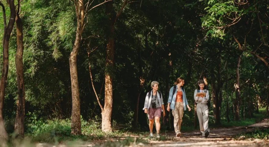 Ojcowski Park Narodowy – jak zaplanować udany wyjazd z bazą noclegową w Sosnowcu