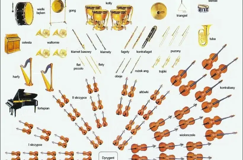 Orkiestra smyczkowa jakie instrumenty? Poznaj skład i ich rolę