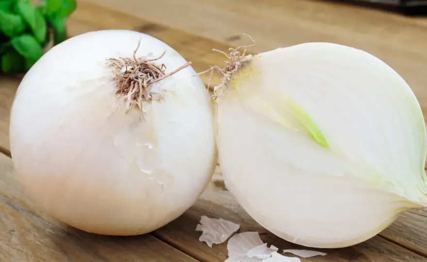 Cebula Globo - Jak wyhodować gigantyczne cebule o łagodnym smaku?