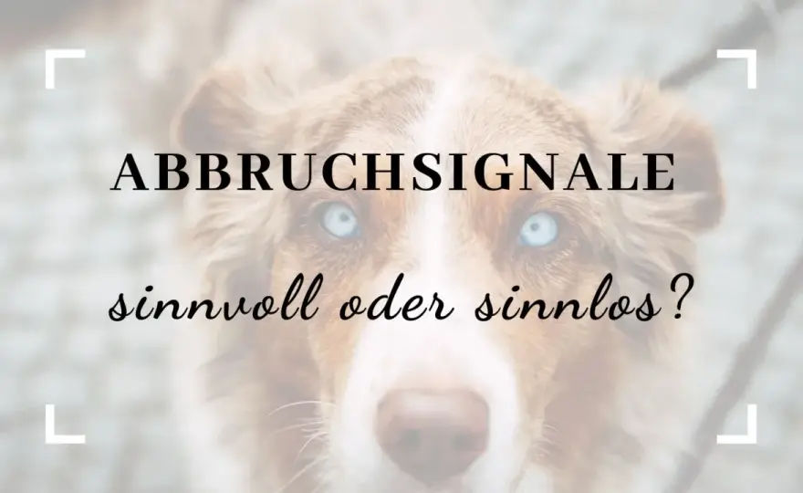 Abbruchsignal beim Hund - so wird es wirklich zuverlässig