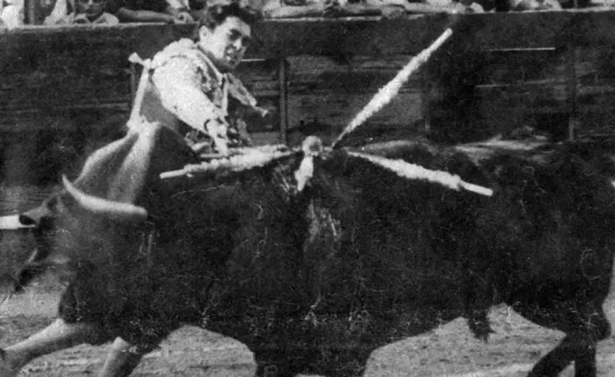 Avispado - El toro que mató a Paquirri y cambió la tauromaquia