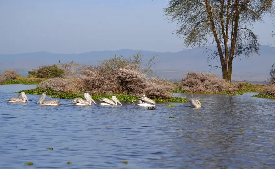 Lake Naivasha - Mehr als nur ein Stopp: Dein Guide für Kenia