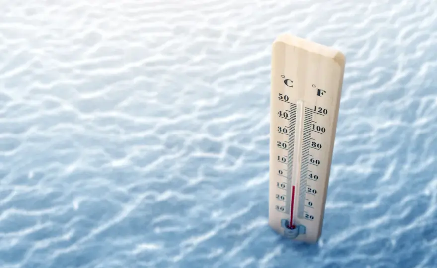 Bałtyk w sierpniu: Jaka jest temperatura wody? Sprawdź!