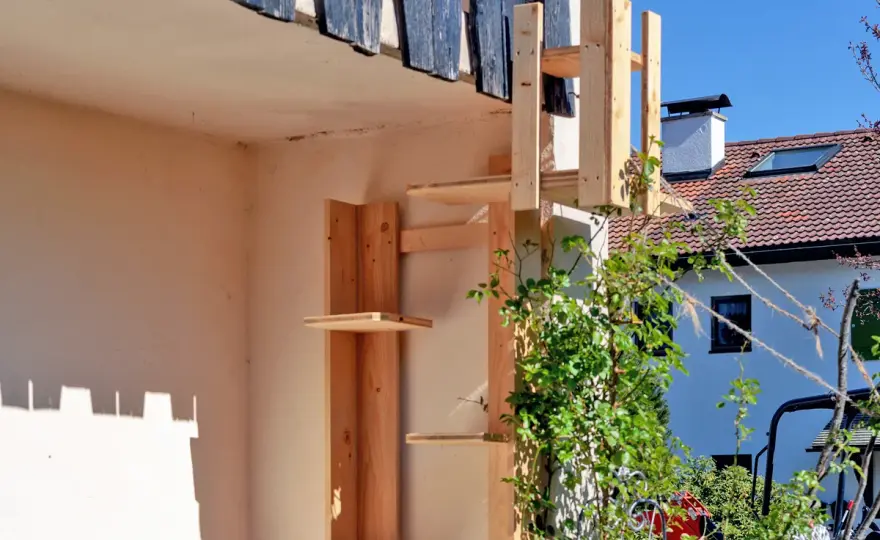 Katzenleiter selber bauen - sicher für Balkon, Fenster und Garten