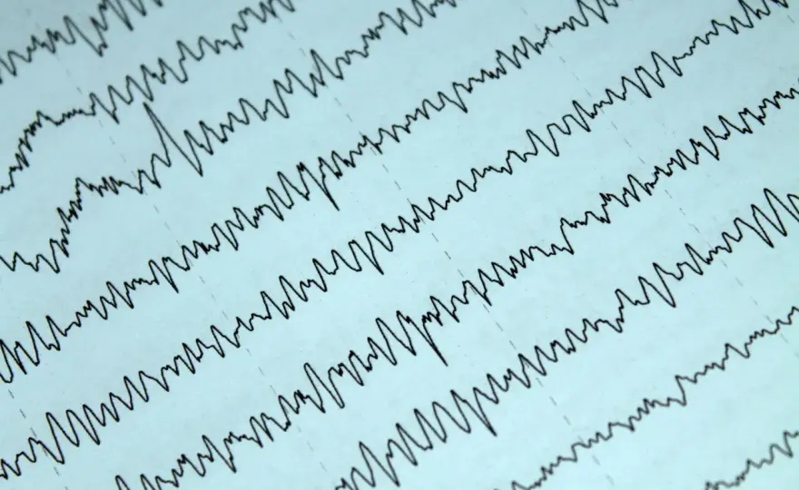 Fale beta w EEG - co oznaczają i jak oddech reguluje uwagę