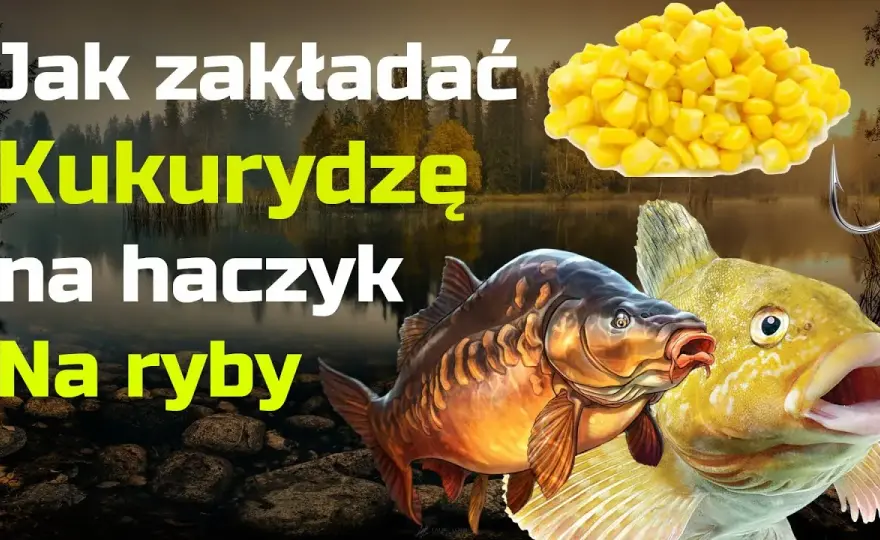 Zakładanie kukurydzy na haczyk: Łów więcej, poznaj triki eksperta