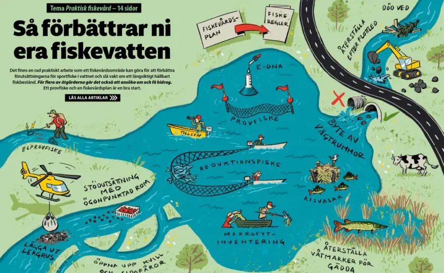 Hitta rätt fiskevatten i Sverige och planera en bättre tur