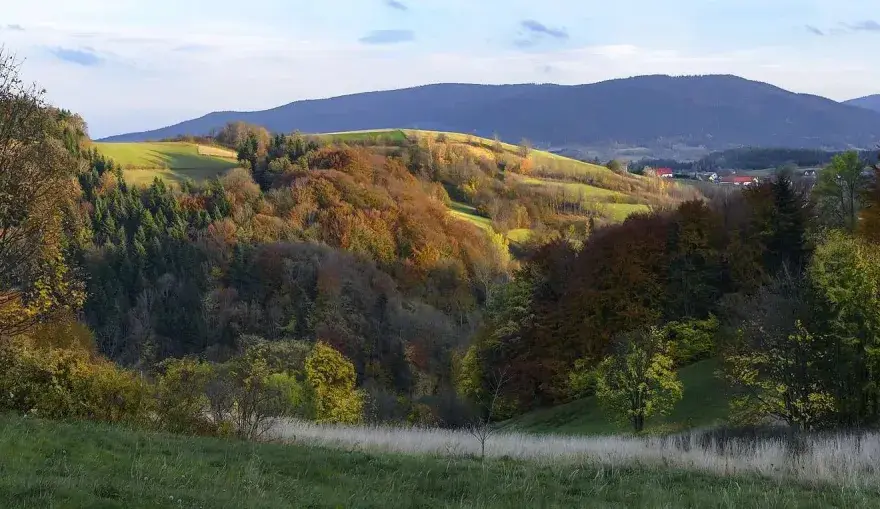 Rezerwat przyrody Madohora: unikalne atrakcje i zagrożenia ochrony