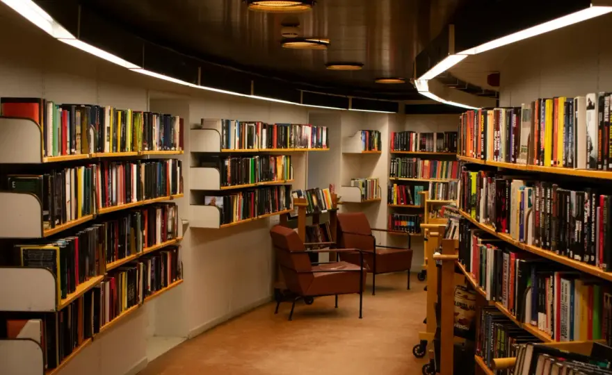 Praca w bibliotece - zarobki, wymagania i realia zawodu