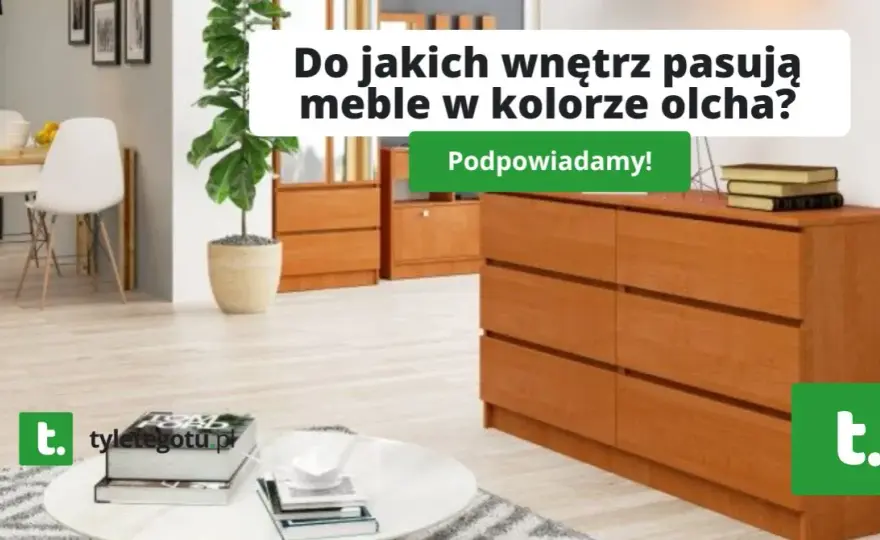 Olcha w salonie: Jak dobrać idealny kolor ścian? Poradnik