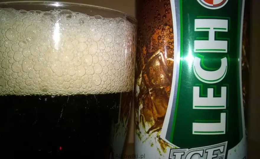 Lech Premium - Kiedy smakuje najlepiej? Przewodnik