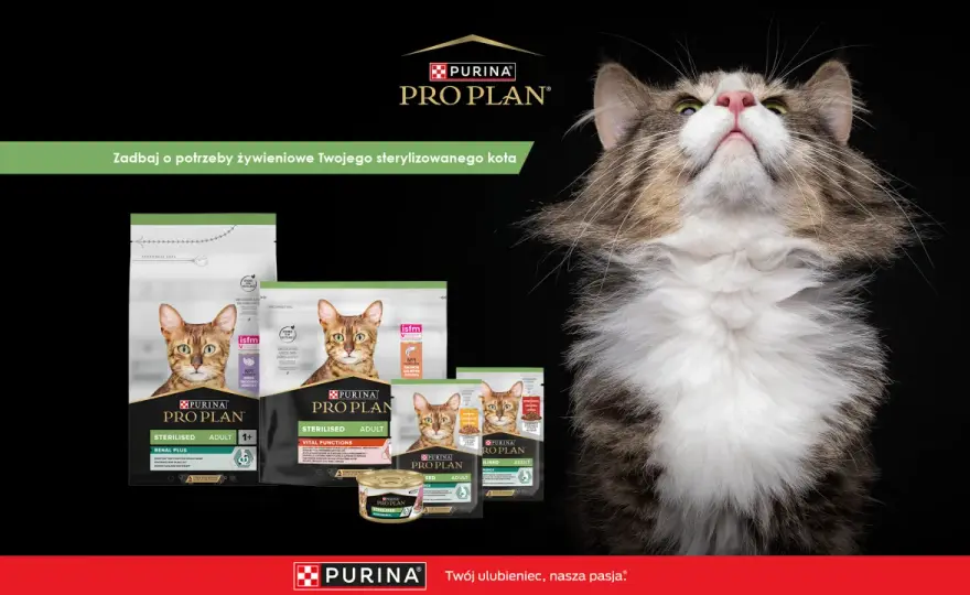 Purina dla kota - Czy to dobra karma? Pełna analiza!