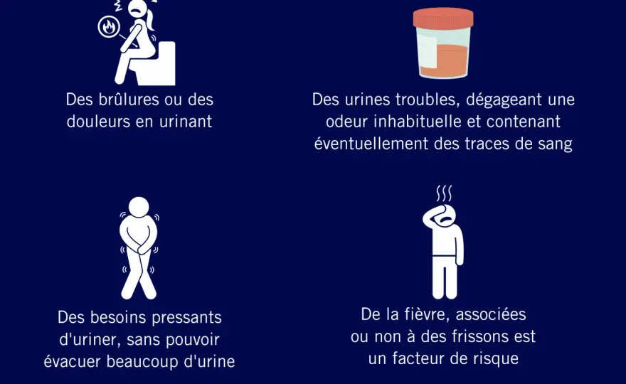 Escherichia coli dans les urines - que signifie le résultat ?