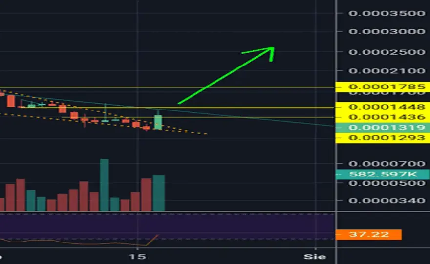 Kurs Lisk na BitBay: Jakie są obecnie trendy na rynku Lisk?