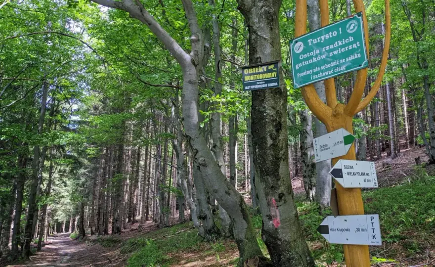 Hala Krupowa - Schronisko, szlaki i widoki. Jak zaplanować?
