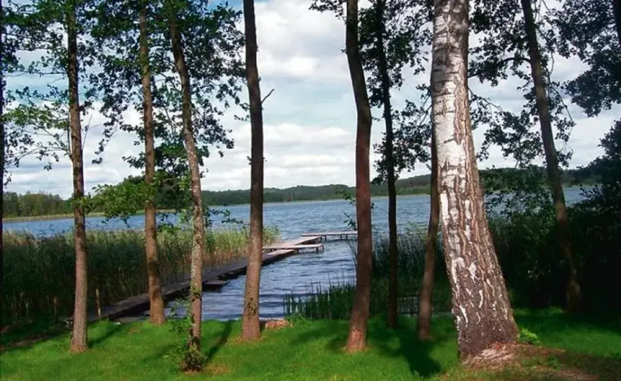 Działki nad jeziorem lubelskie - idealne miejsca na wypoczynek i inwestycje