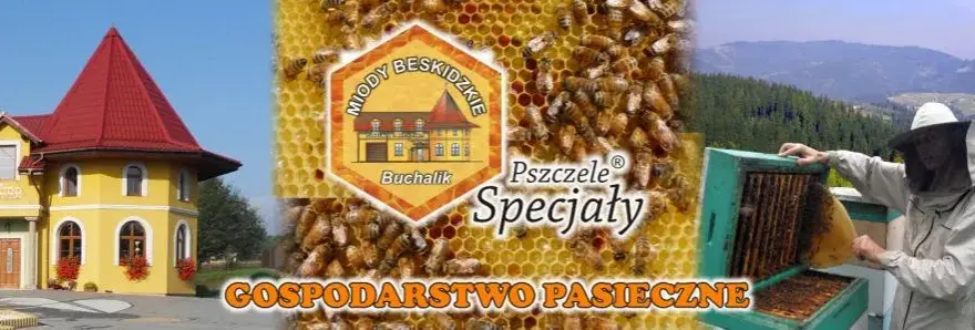 Ile kosztuje słoik miodu? Sprawdź ceny i różnice regionalne