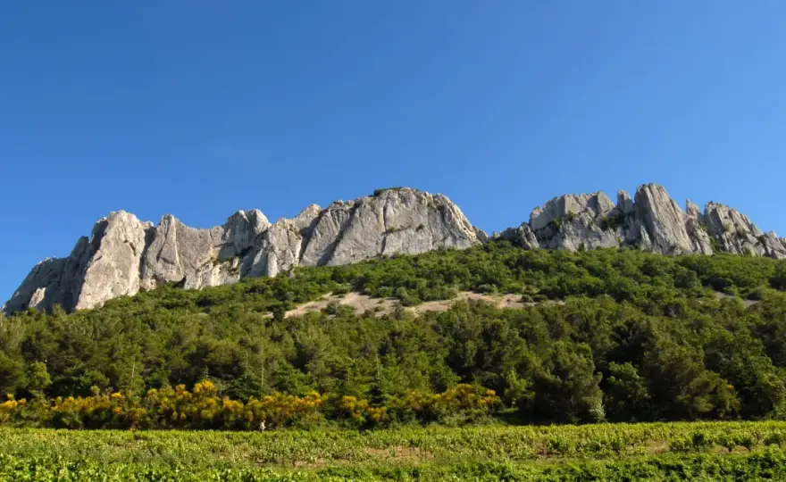 Dentelles de Montmirail - Votre guide complet pour les explorer