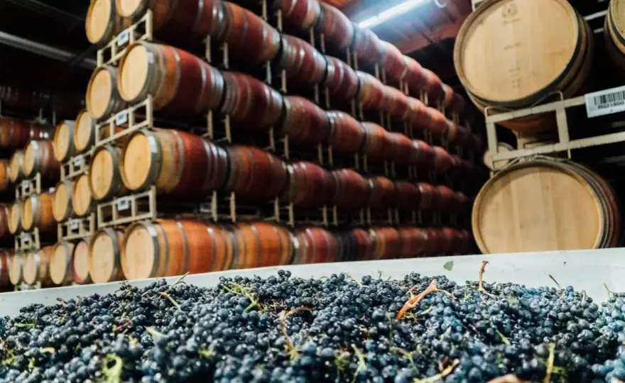 Sherry co to za wino? - Poznaj style, smaki i zasady serwowania