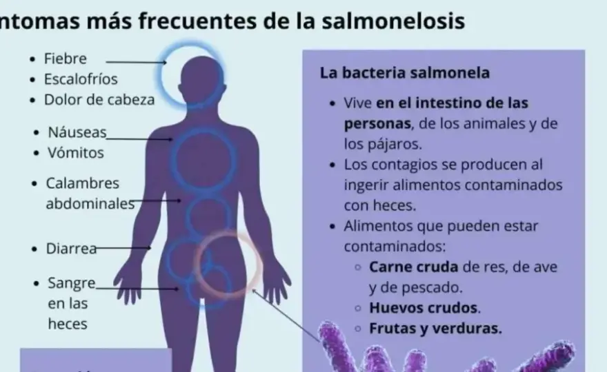 Síntomas de intoxicación alimentaria: ¿estás en riesgo? Identifícalos ya