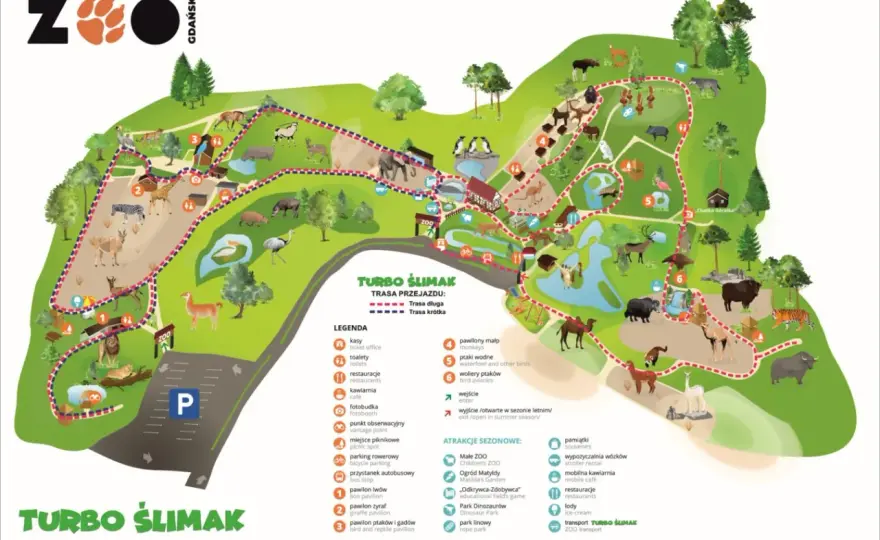 Zoo w Gdańsku - Najlepsze atrakcje dla dzieci i plan zwiedzania