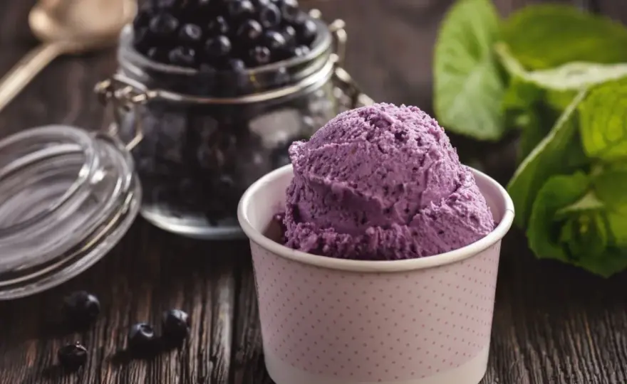 Sorbet borówkowy: Zrób idealny! Przepis, triki, bez maszynki