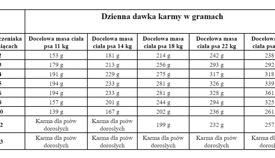 Ile karmy dla szczeniaka? Dawkowanie krok po kroku (wiek, waga)