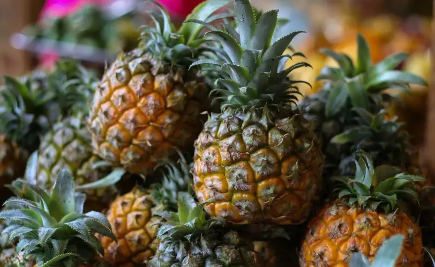 Jak nazwać ananasa po hiszpańsku: piña czy ananás?
