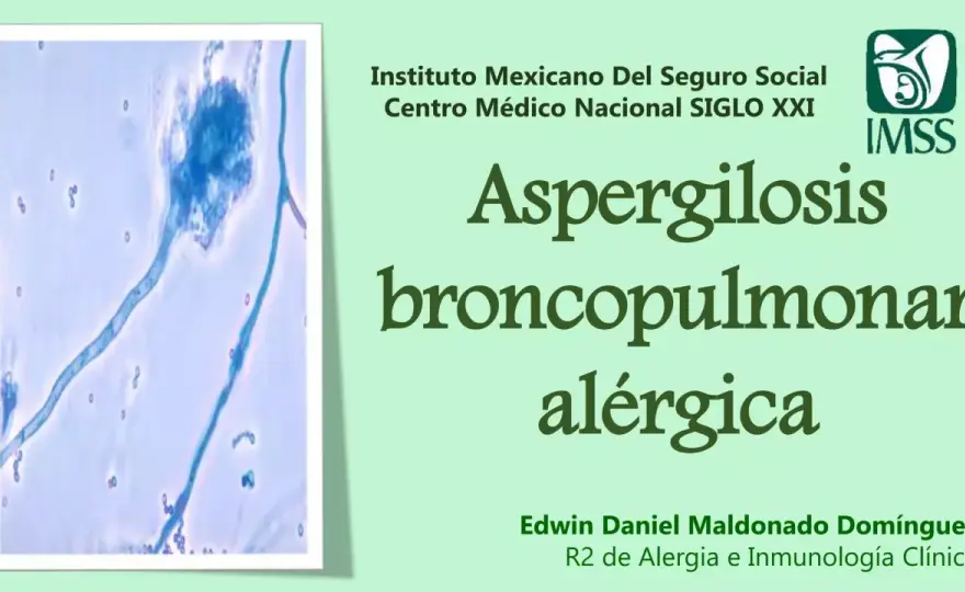 Alergia a Aspergillus fumigatus - síntomas y cómo controlarla