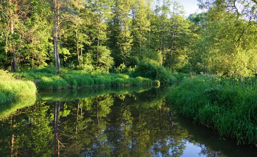 Ile rezerwatów przyrody w Polsce? Poznaj 1640 skarbów natury