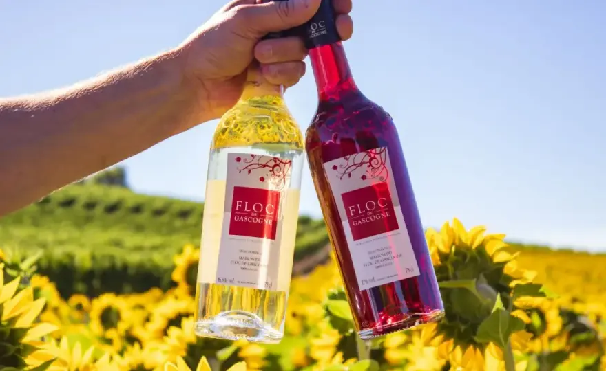 Gascogne Wein & Armagnac - Mehr als nur ein Etikett?