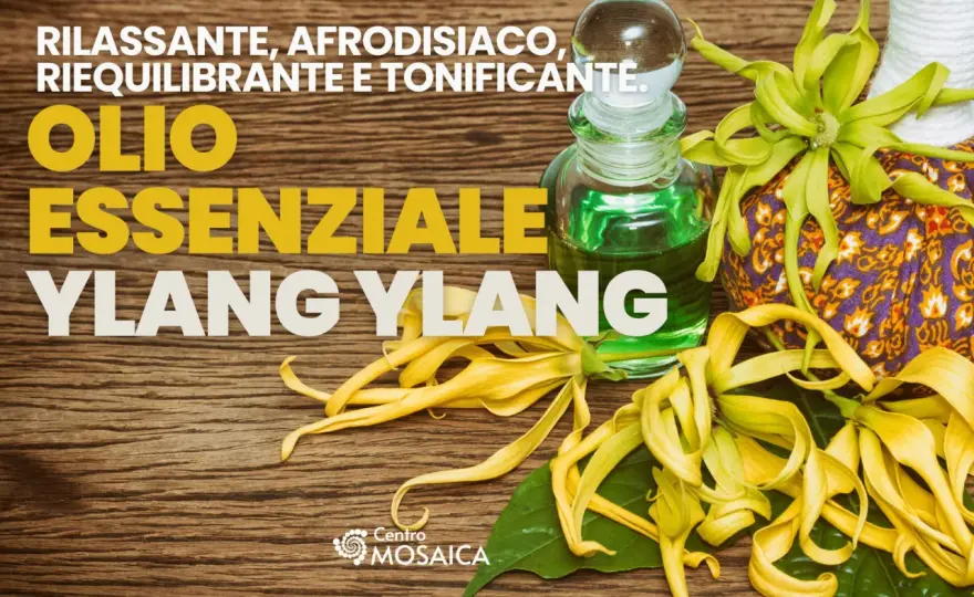 Olio Ylang-Ylang - Verità, Usi e Benefici Reali