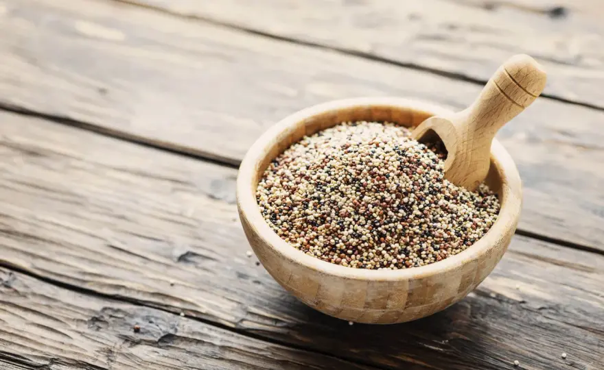 La quinoa è un legume? Classificazione, varietà e uso