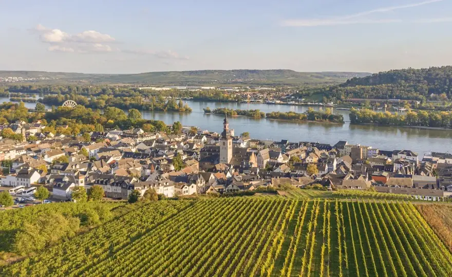 Weinregion Eifel - Ahr & Mosel: Dein Guide zur Weinreise