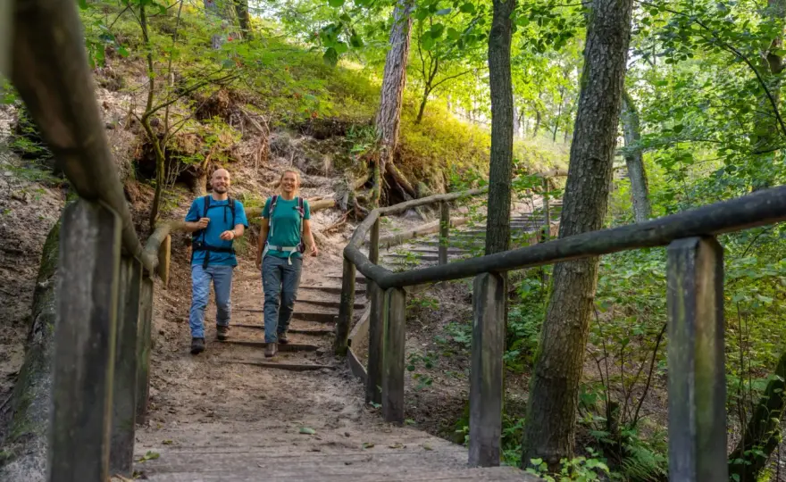 Teutoburger Wald - Dein Guide für perfekte Wanderungen