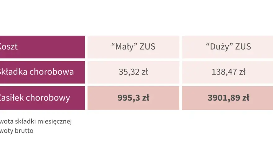 Mały ZUS plus 2026 - Jak liczyć i oszczędzać składki?