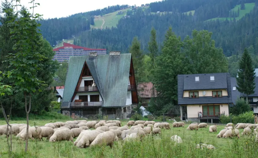 Zakopane: Domek na wierchu z widokiem na Tatry? Oto jak wybrać!