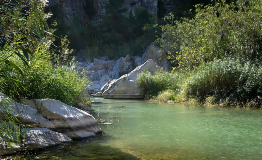Vía Verde del Serpis: ¿Qué tramo elegir y cómo disfrutarla?
