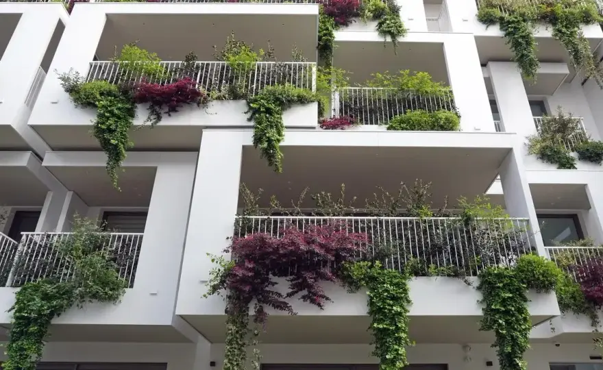 Wieloletnie pnącza na balkon: wybierz gatunek i stwórz zieloną oazę