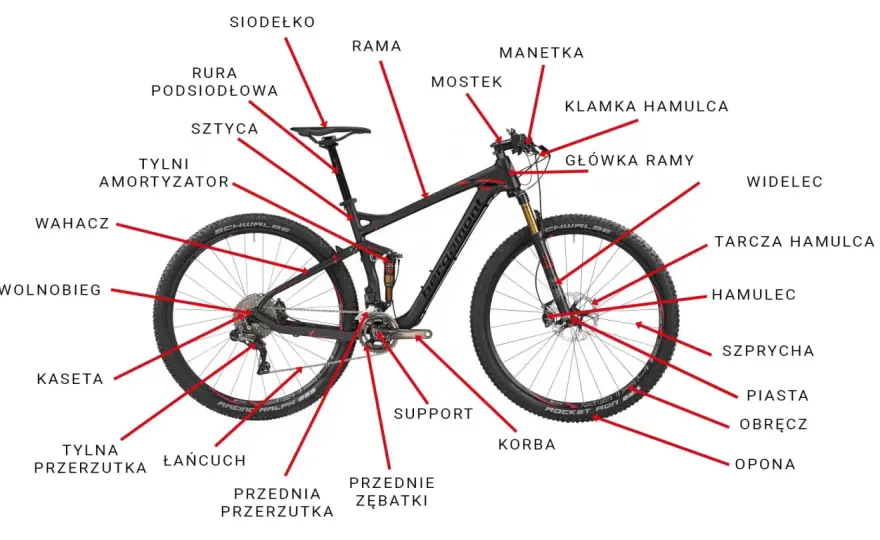 Budowa roweru - Co naprawdę wpływa na jazdę i jak to sprawdzić?