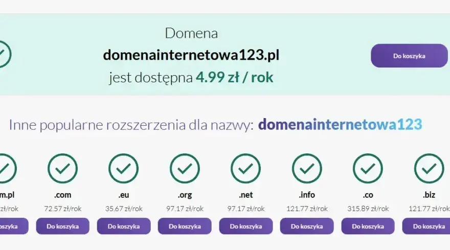 Koszty utrzymania strony: Oszacuj roczne wydatki i nie przepłacaj!