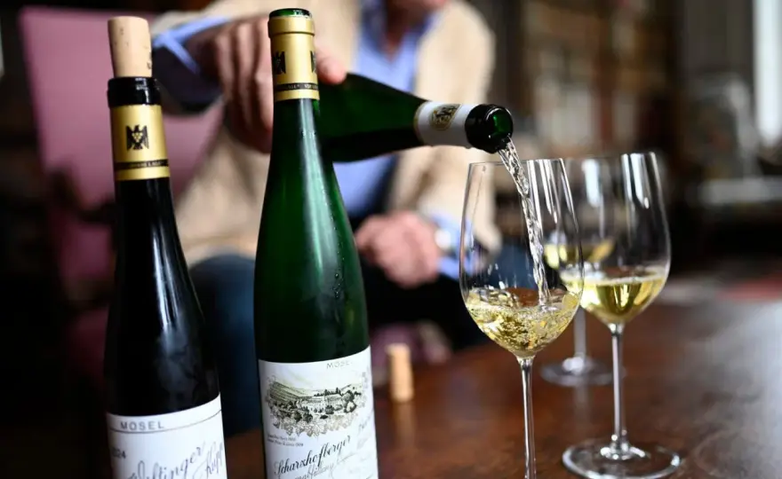 Egon Müller Riesling - Warum dieser Wein so besonders ist