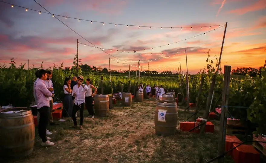 Aperitivo in vigna - Guida completa all'esperienza perfetta