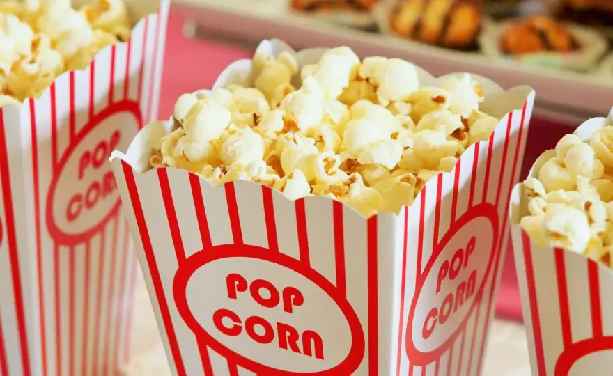 Popcorn dla psa - Czy to bezpieczne? Sprawdź!