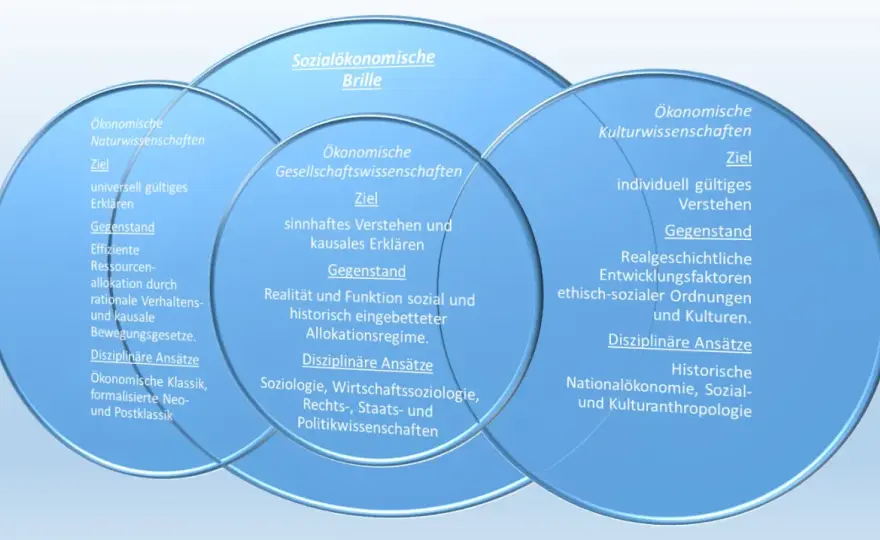 Paul Natorp verstehen - Denken, Bildung und Gesellschaft